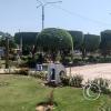 Plaza de Armas de Yarinacocha (2)