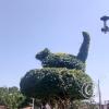 Plaza de Armas de Yarinacocha (6)