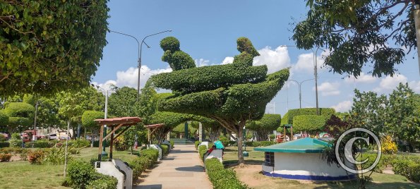 Plaza de Armas de Yarinacocha (9)