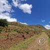 View from a dirt road going up the hill (6)
