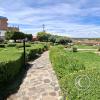 Garden at Hotel El Buho (4)