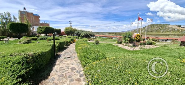 Garden at Hotel El Buho (4)