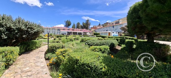 Garden at Hotel El Buho