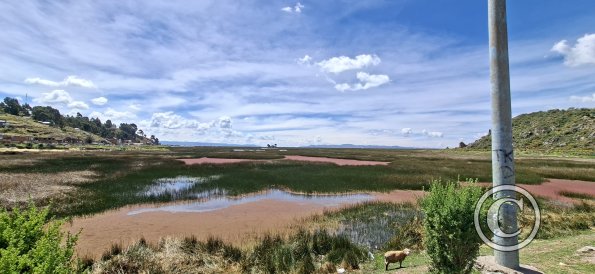 Lake Titicaca at Isla Esteves