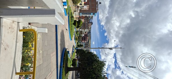 Linear park in the median of Av Floral (4)