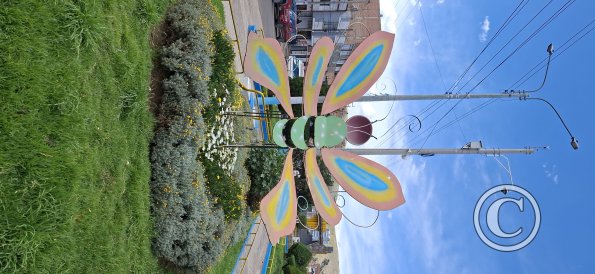 Linear park in the median of Av Floral (5)