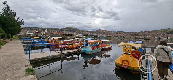 Paddleboats for rent on Lake Titicaca