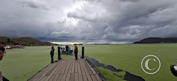 The bay of Puno has lots of algae