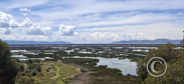 view from Isla Esteves (4)
