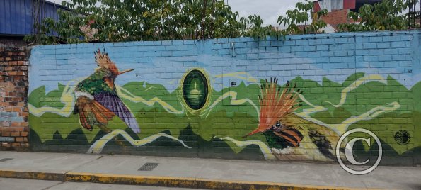 IMG_20250721_112345241_HDR