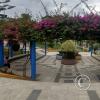 Plaza de Armas