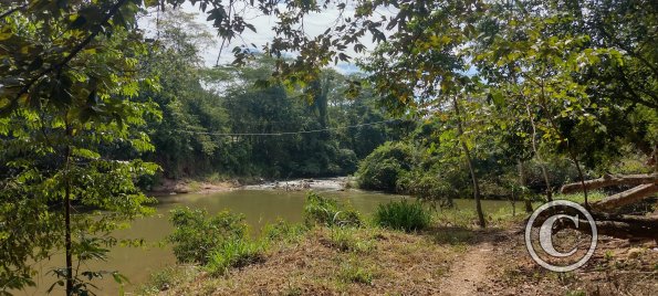 IMG_20250712_131220072_HDR