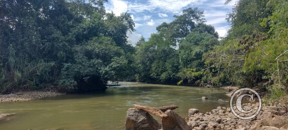 IMG_20250712_131348523_HDR