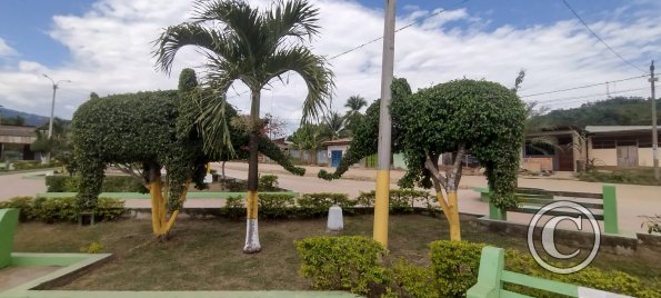 IMG_20250712_140406702_HDR