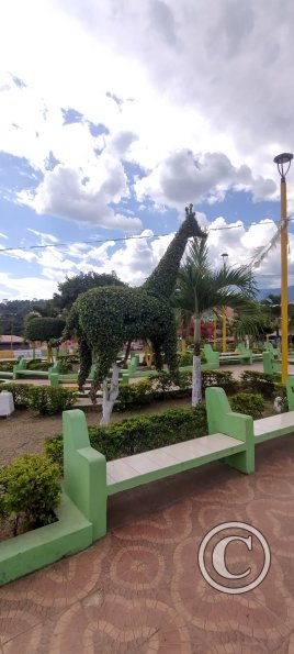 IMG_20250712_140433858_HDR