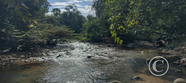 IMG_20250712_143548690_HDR