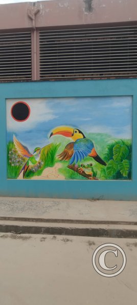 IMG_20250712_145852764