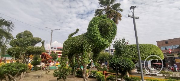 IMG_20250713_092133107_HDR