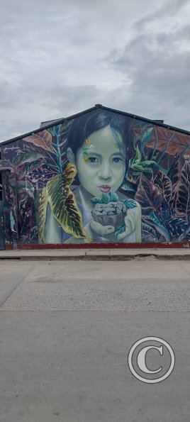 IMG_20250719_113726628_HDR