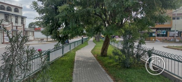 Av. Jose de Lama y Av. Marcelino Champagnat (2)