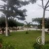 Plaza de Armas (3)