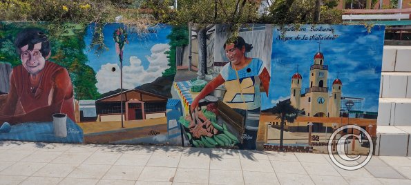 IMG_20250716_130840769_HDR
