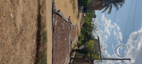 IMG_20250716_133754265_HDR
