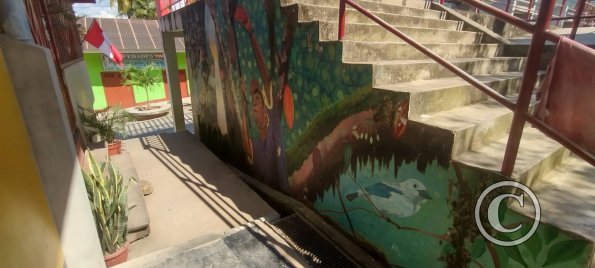 IMG_20250716_140725839_HDR