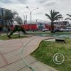 Parque De Topiarios Animales - Av. Gustavo Pinto (6)