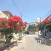 Av. Luis Fraser