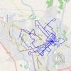 Tarapoto 2023 walking route
