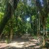 Jardin Botanico 1