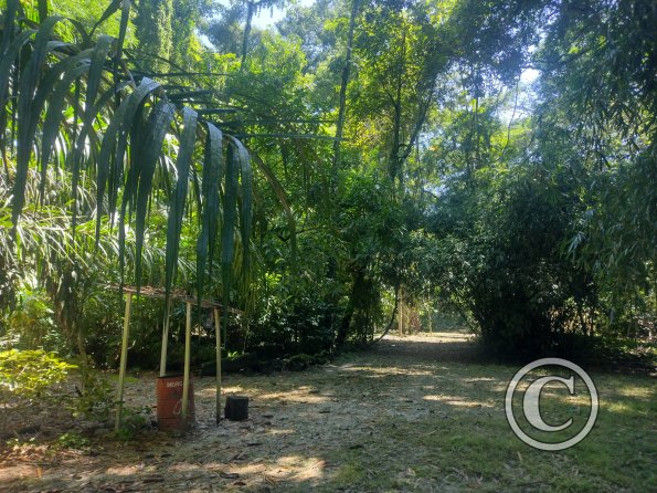 Jardin Botanico 3