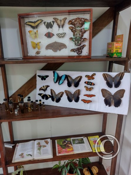Monte Alto Mariposario 3