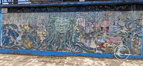 Mural on Jiron Chiclayo at Av Ucayali (3)
