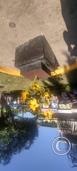 Plaza de Armas - Parque Central (10)