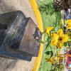 Plaza de Armas - central linear park (13)