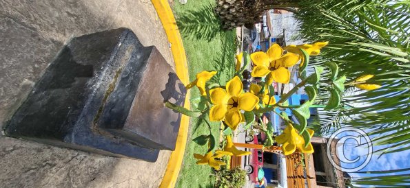 Plaza de Armas - central linear park (13)