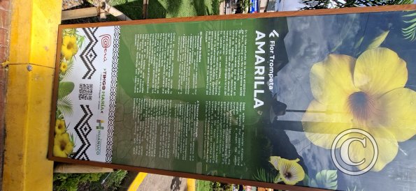 Plaza de Armas - central linear park (14)
