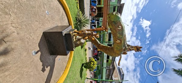 Plaza de Armas - central linear park (15)