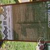 Plaza de Armas - central linear park (16)