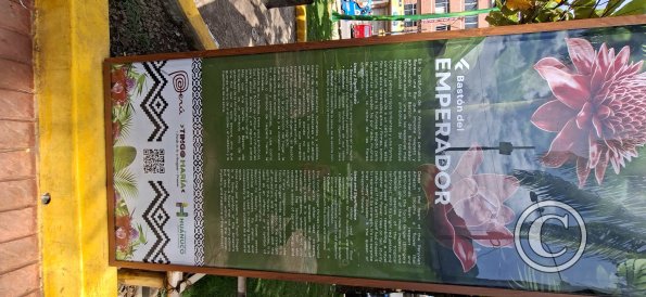 Plaza de Armas - central linear park (18)