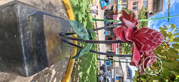 Plaza de Armas - central linear park (19)