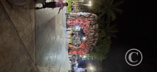 Plaza de Armas - central linear park (2)