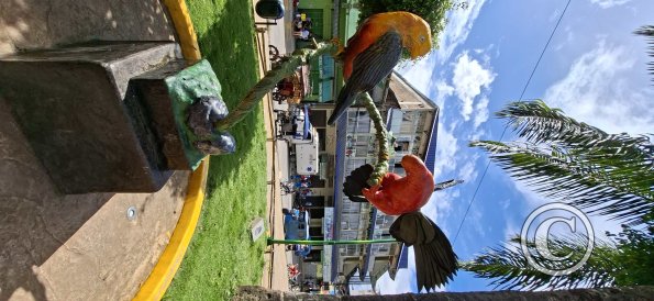 Plaza de Armas - central linear park (20)