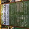 Plaza de Armas - central linear park (22)