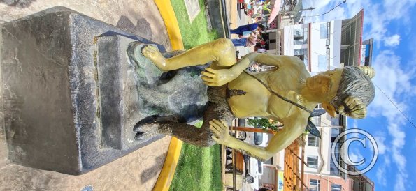 Plaza de Armas - central linear park (23)