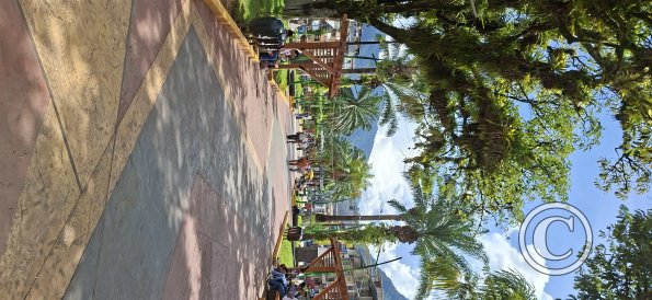 Plaza de Armas - central linear park (35)