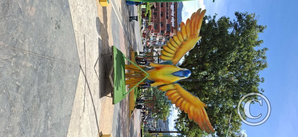 Plaza de Armas - central linear park (36)