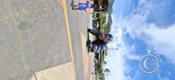 Plaza de Armas - central linear park (37)